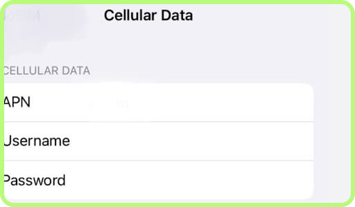 Tap Cellular Data Network, Check the APN field