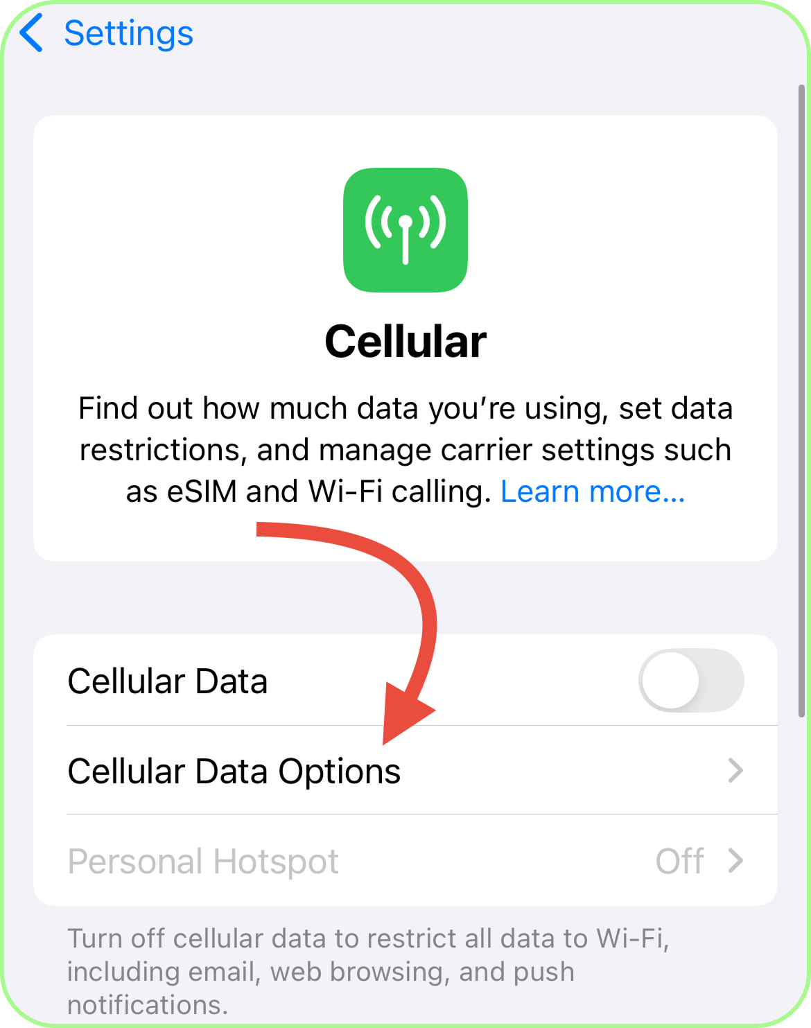 click on cellular data options