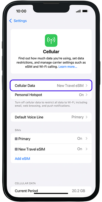Travel eSIM as a Cellular Data