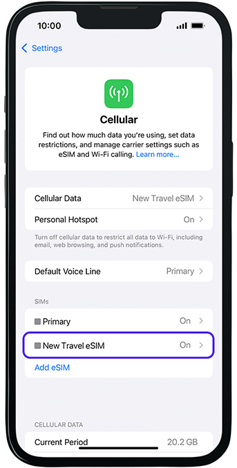 Travel eSIM Settings