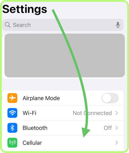 iPhone, Open Settings, Go to Cellular