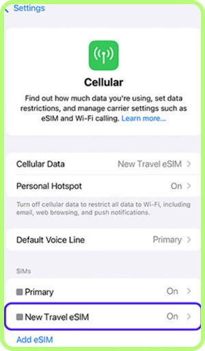 on an iPhone Tap Cellular Data, On