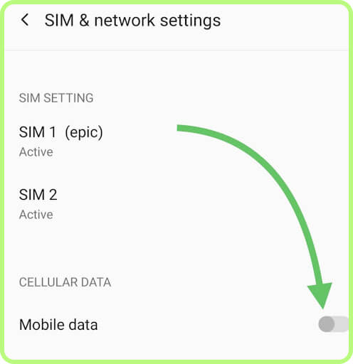 Make sure the Mobile Data toggle is turned ON