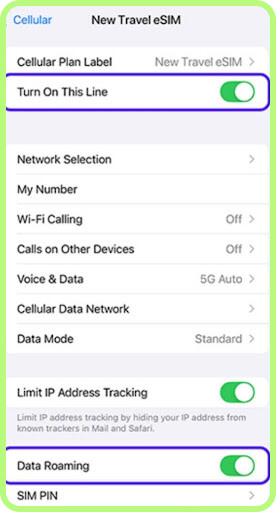 In the SIM list, select your new travel eSIM and make sure it is enabled Turn On This Line