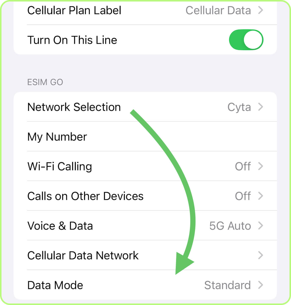 Select your eSIM (Primary, Secondary, or renamed) and tap Data Mode