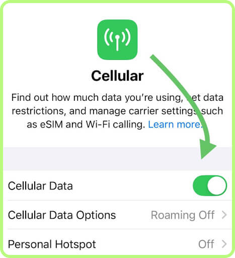 Tap on an iPhone Cellular Data, On