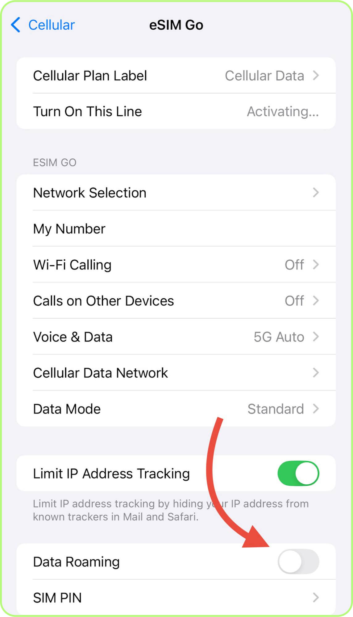 turn on data roaming