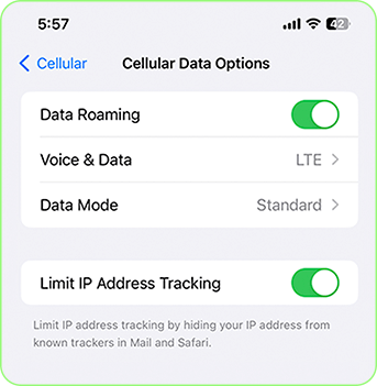 Enabled data roaming on iPhone
